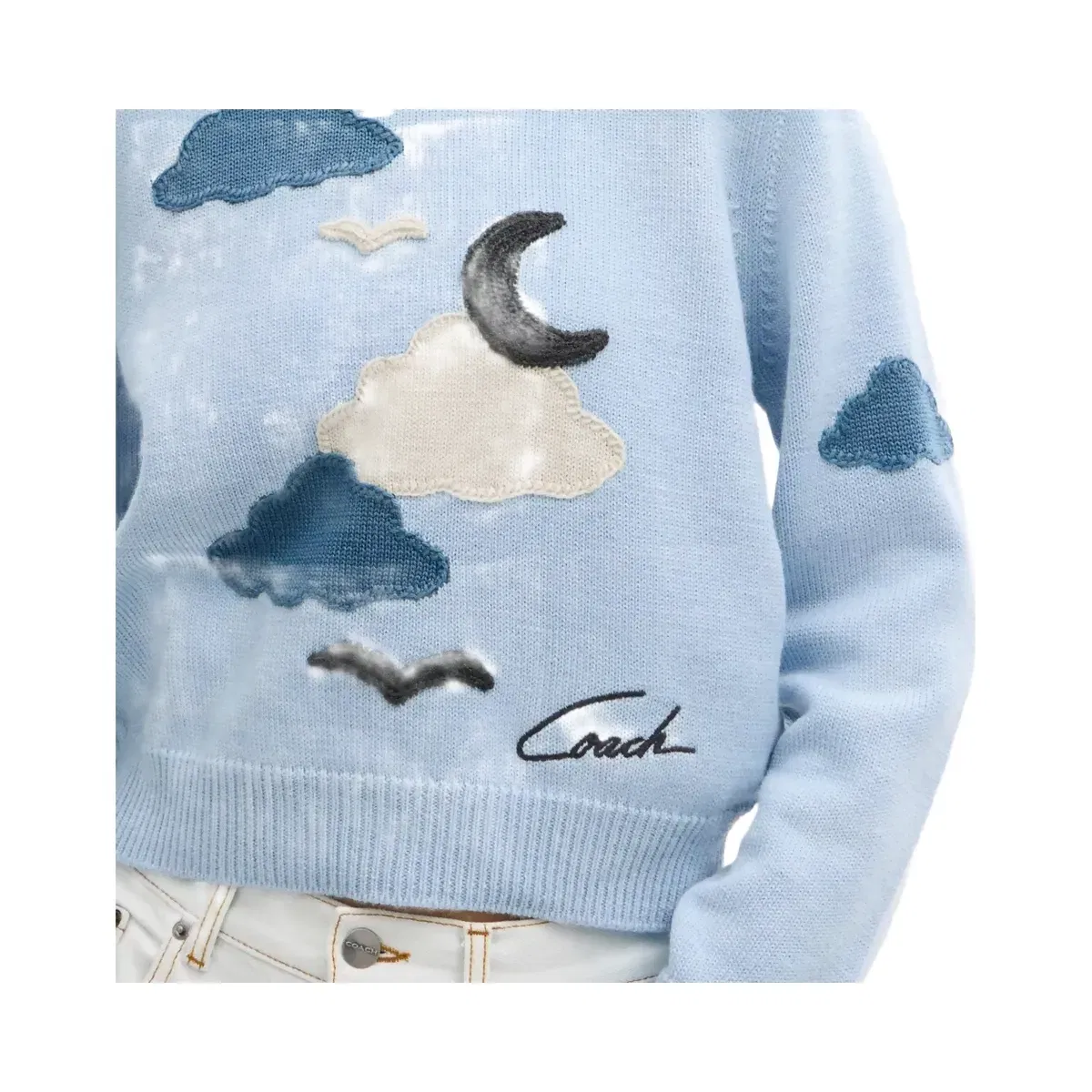 Coach Applique Sweater in Light Blue