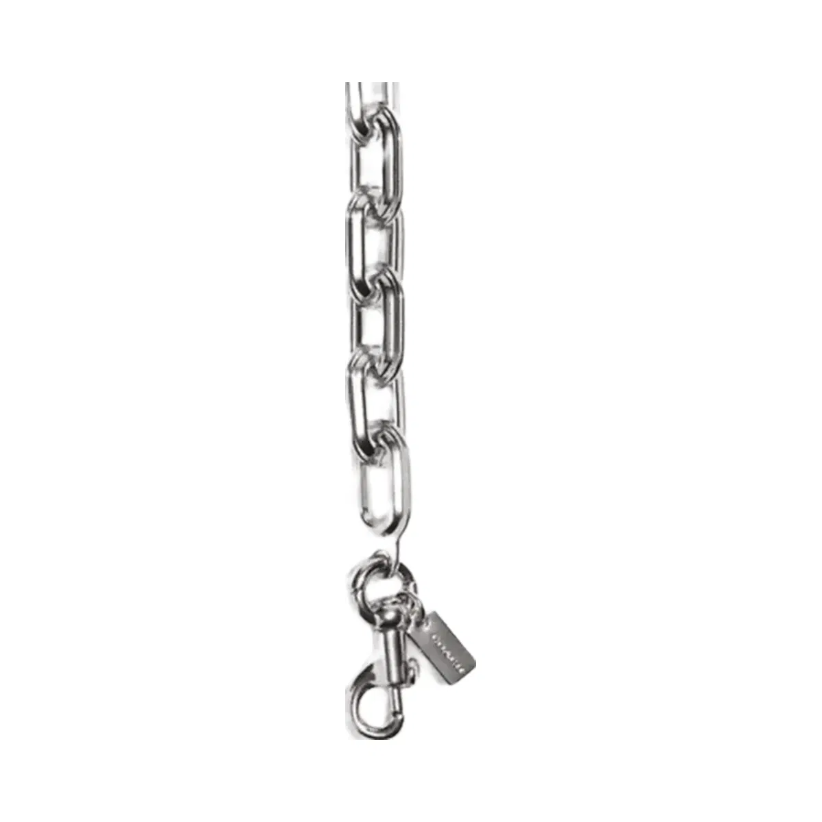 Coach Link Chain Strap in Silver