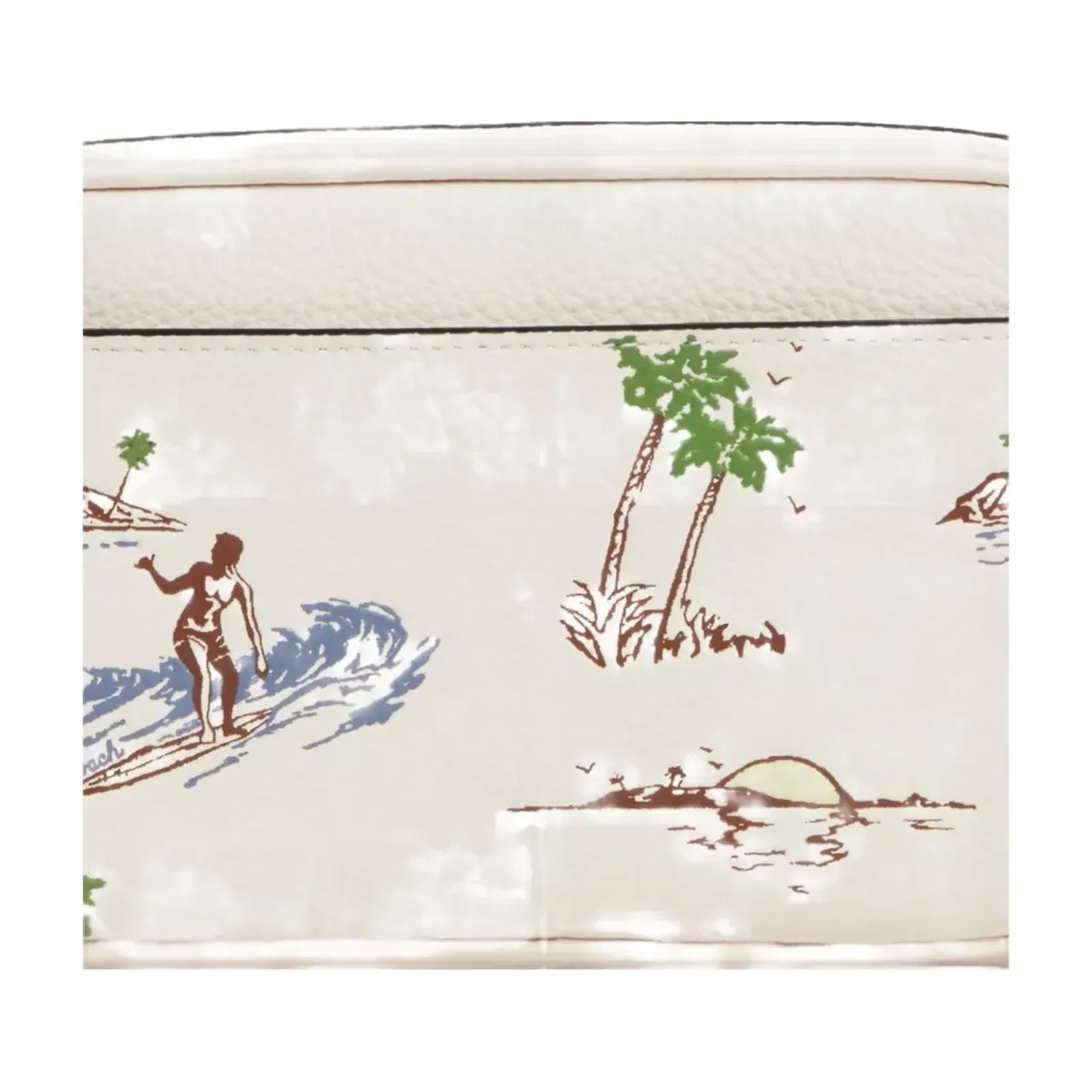 Coach Jayden Crossbody Bag With Surf Print in Gunmetal Chalk Multi