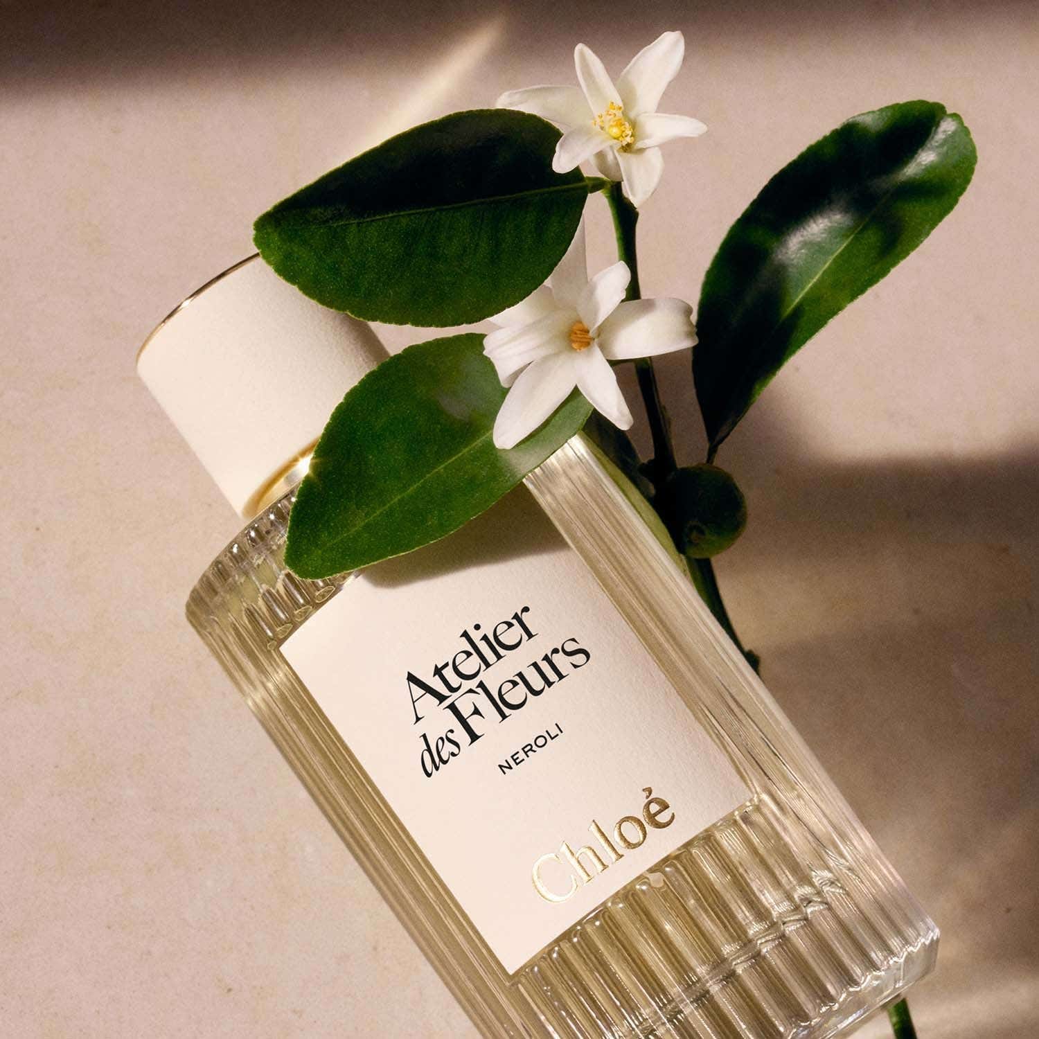 Chloe Atelier Des Fleurs Neroli EDP (150 ml) - Chloe