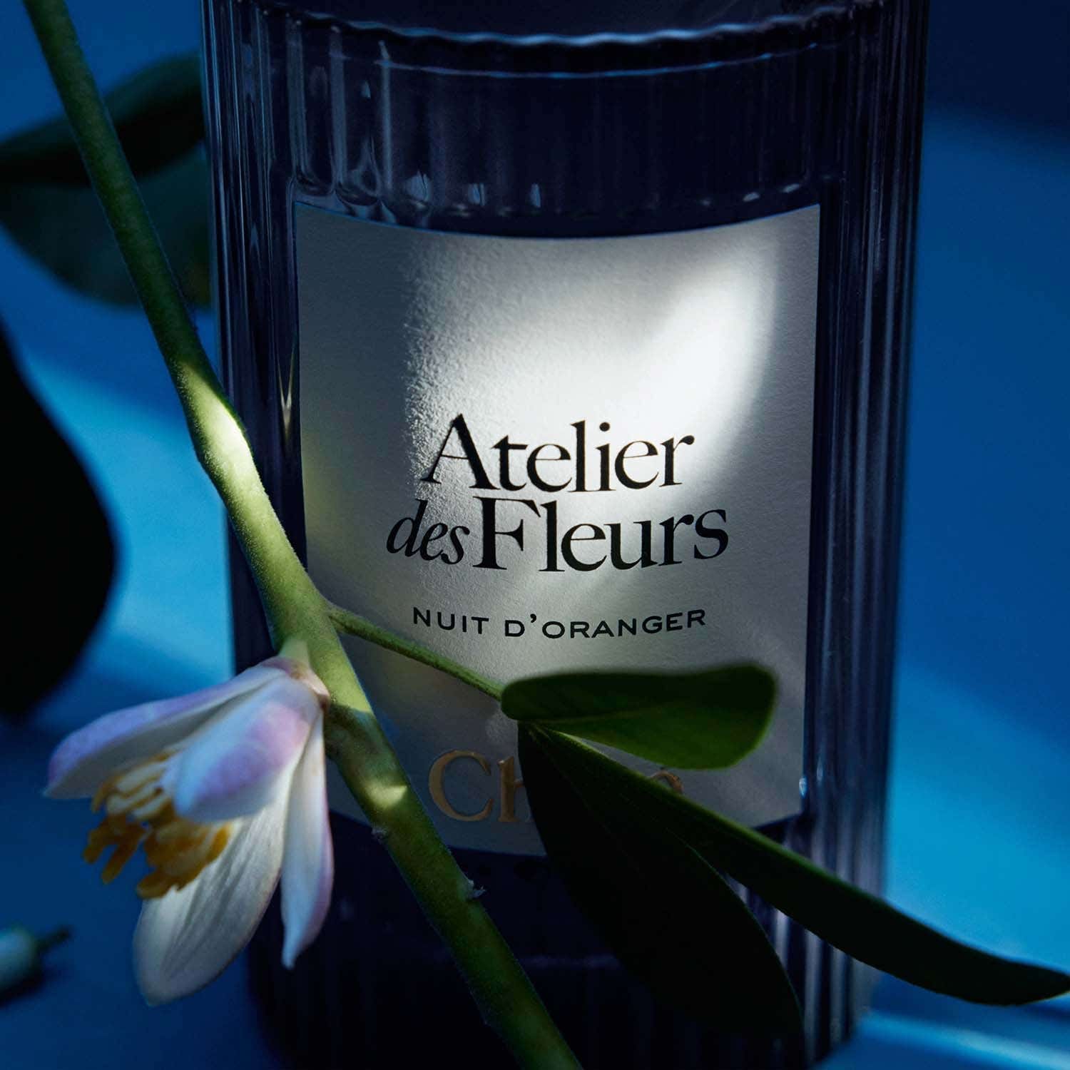 Chloe Atelier Des Fleurs Nuit D'Oranger EDP (150 ml) - Chloe