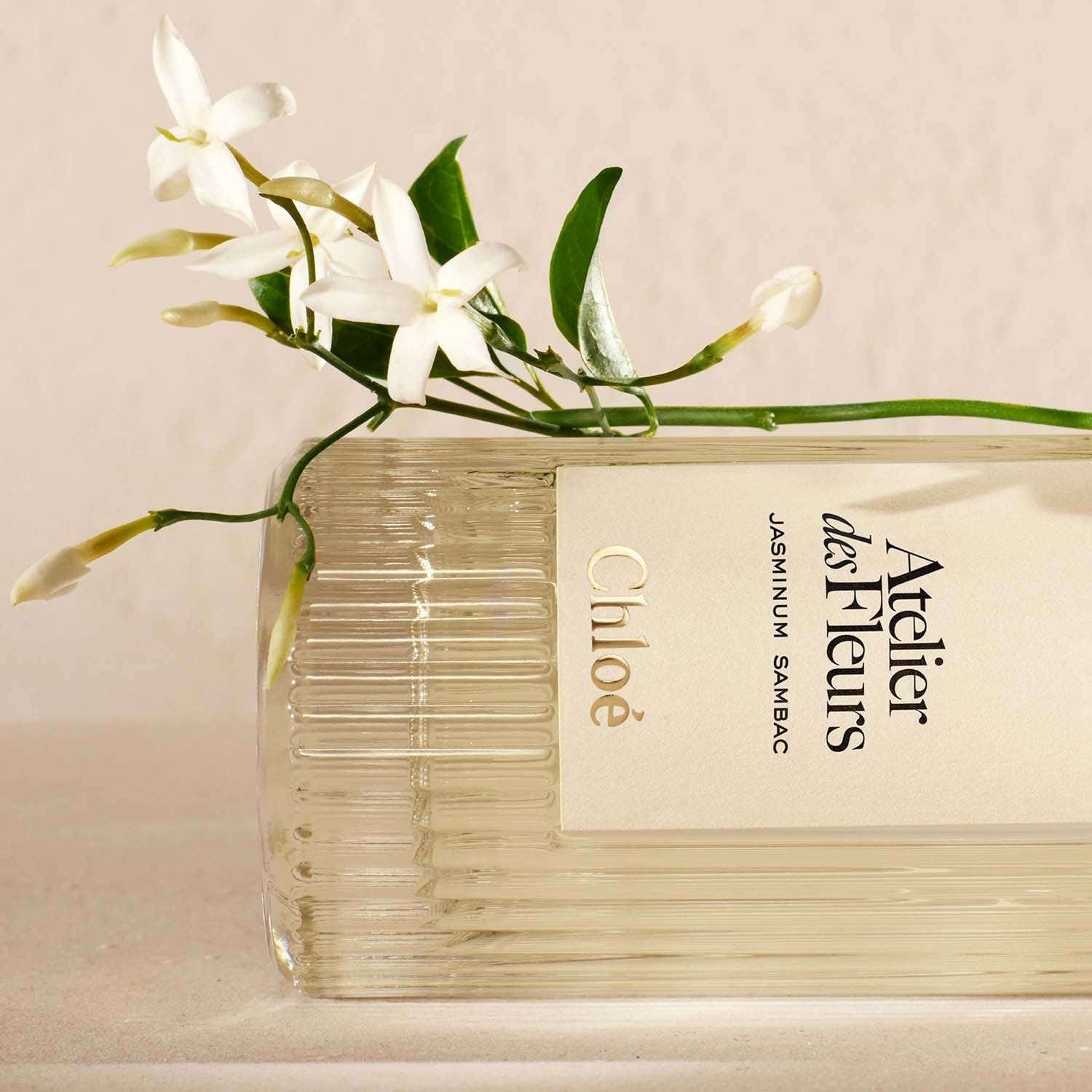 Chloe Atelier Des Fleurs Jasminum Sambac EDP (50 ml) - Chloe