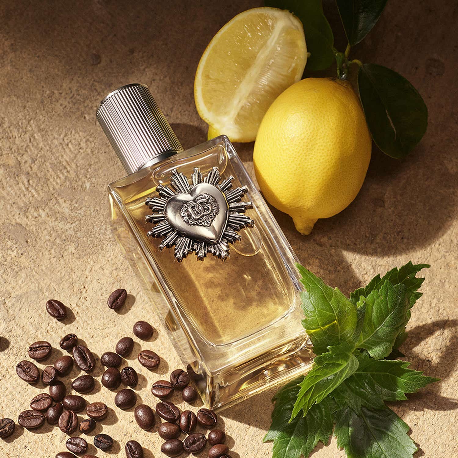 Dolce&Gabbana Devotion Eau De Parfum For Men (100 ml) - Dolce&Gabbana