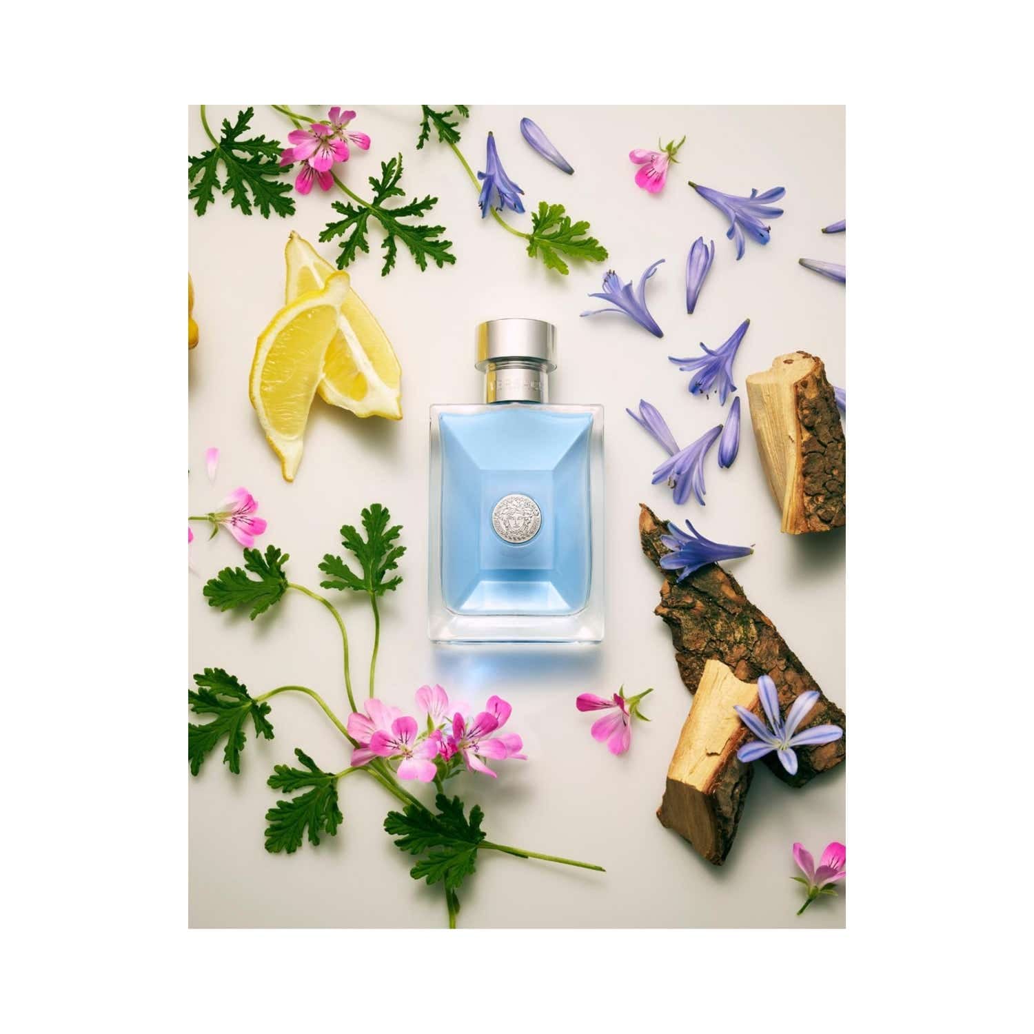 Versace Pour Homme Eau De Toilette (100ml) - Versace