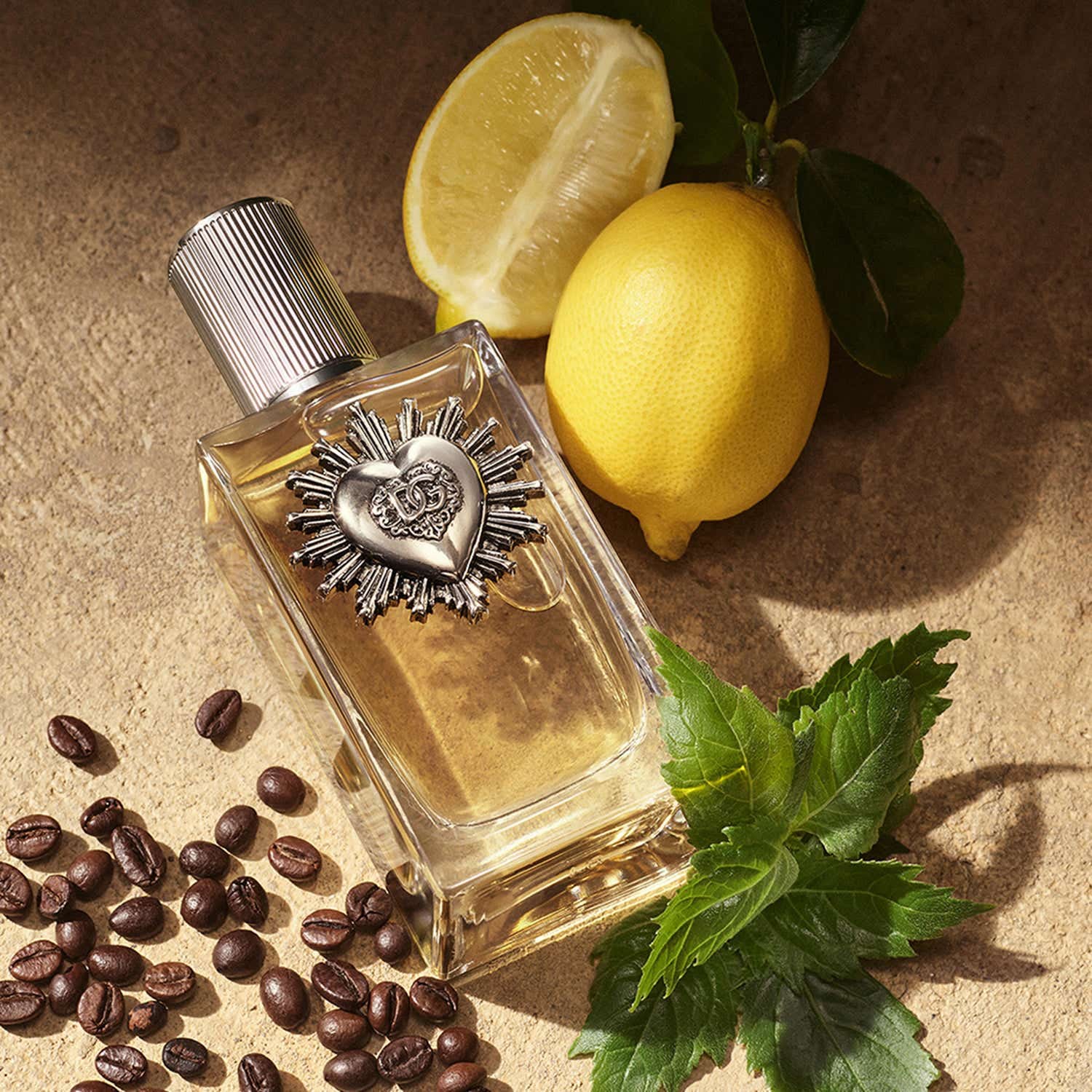 Dolce&Gabbana Devotion Eau De Parfum For Men (50 ml) - Dolce&Gabbana