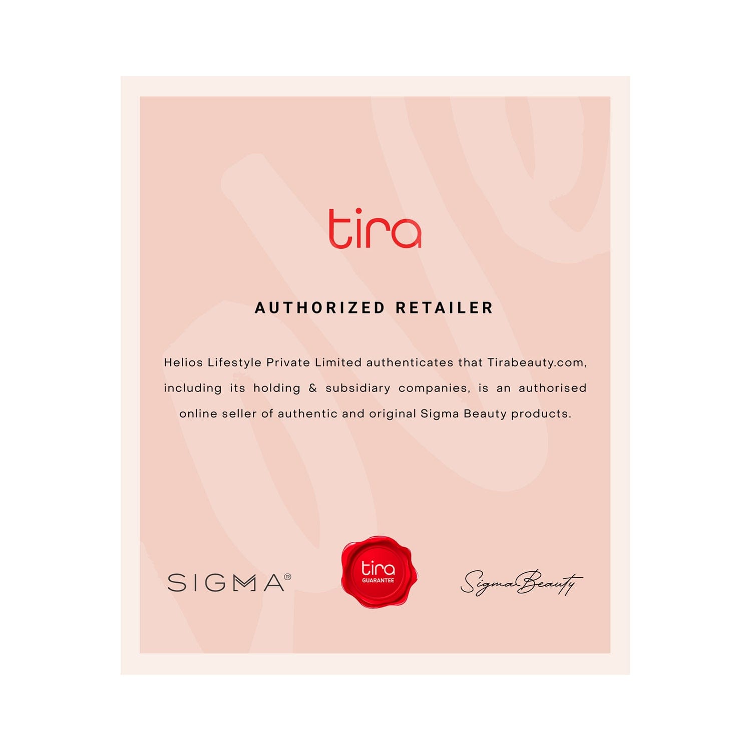 Sigma Beauty Essential Brush Set - Sigma Beauty