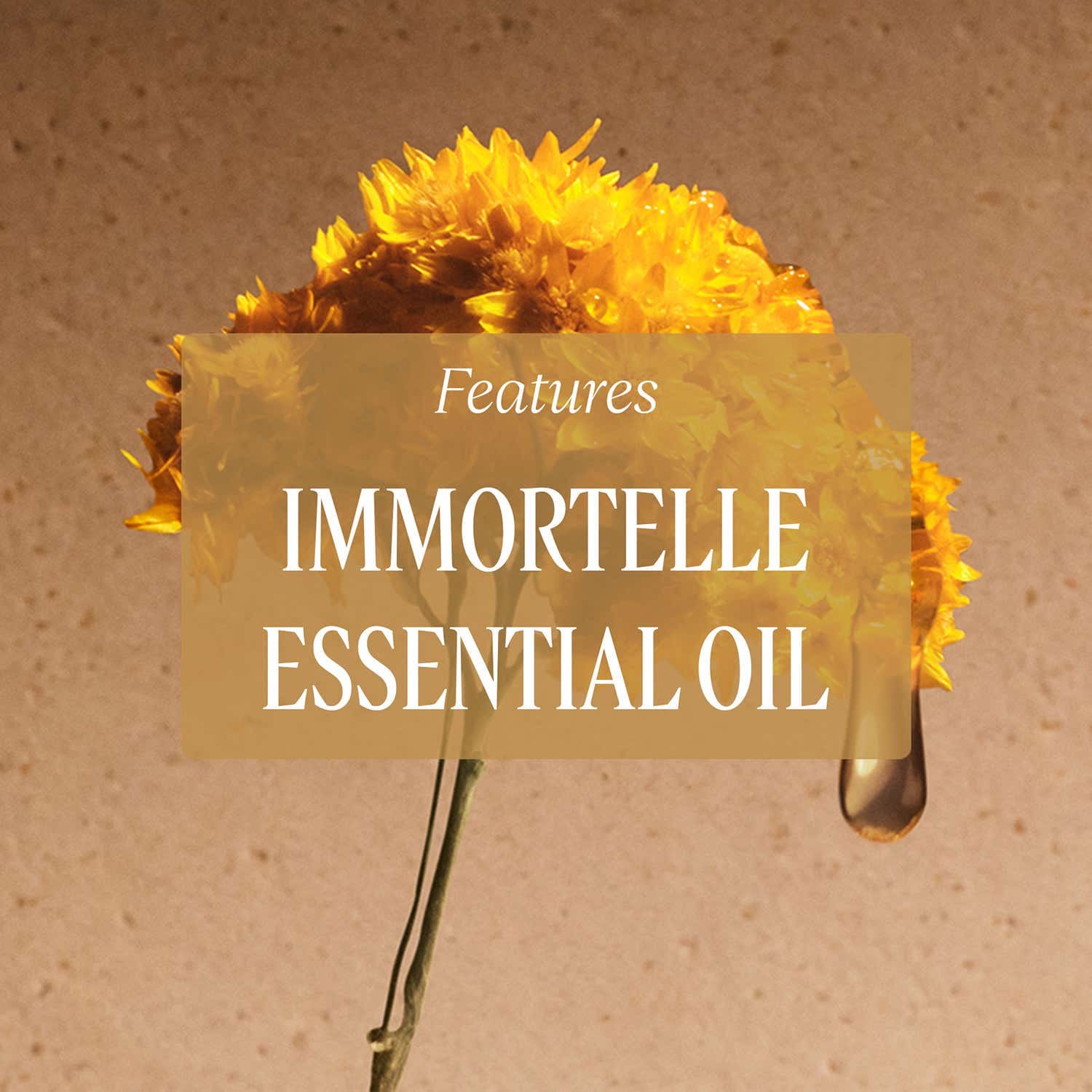 L'Occitane Immortelle Reset Triphase Essence (150 ml) - L'occitane