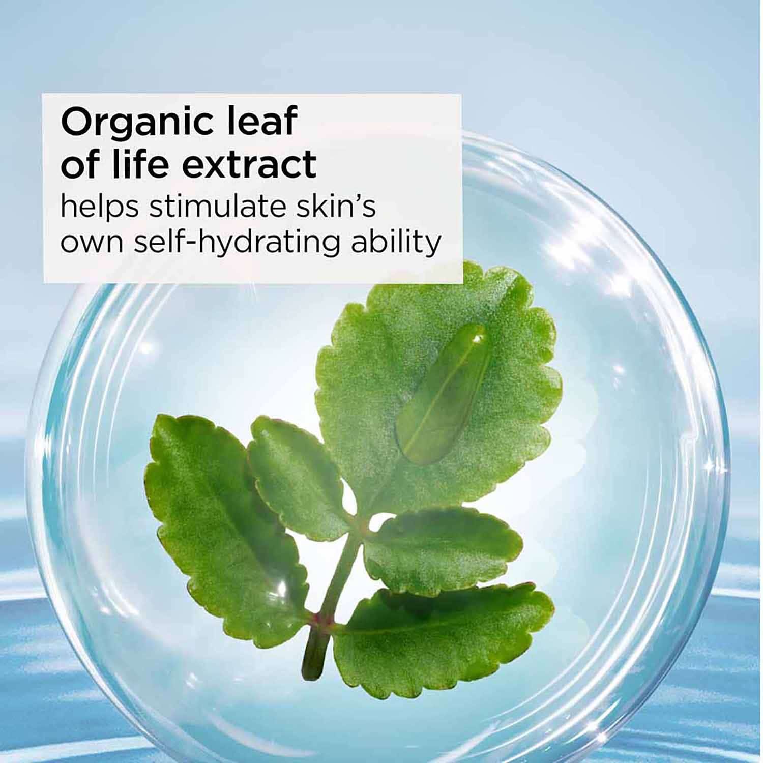 Clarins Total Eye Hydrate Mask (20ml) - Clarins
