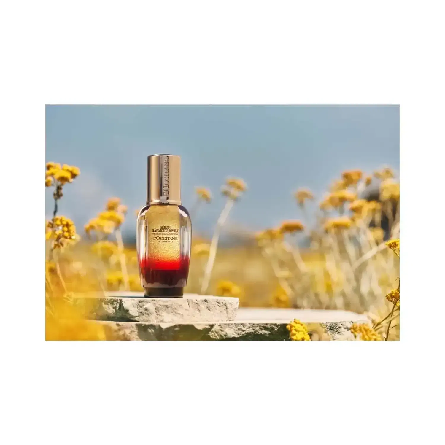L'occitane Immortelle Harmonie Divine Serum - (30ml) - L'occitane