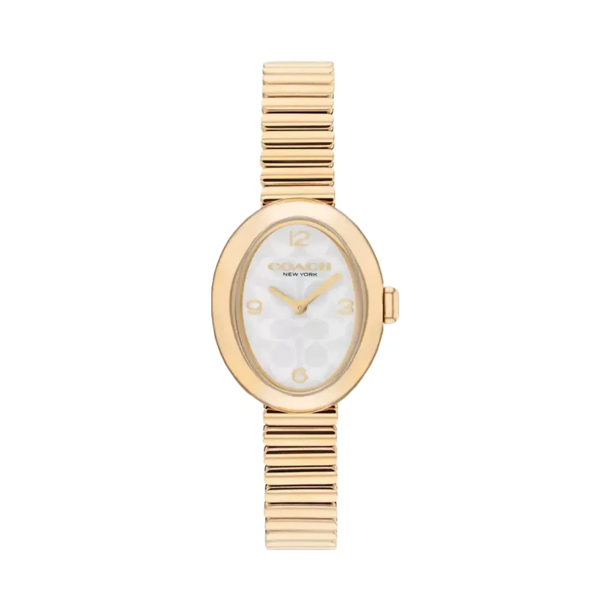 Coach Sammy Watch, 22 Mm in Gold