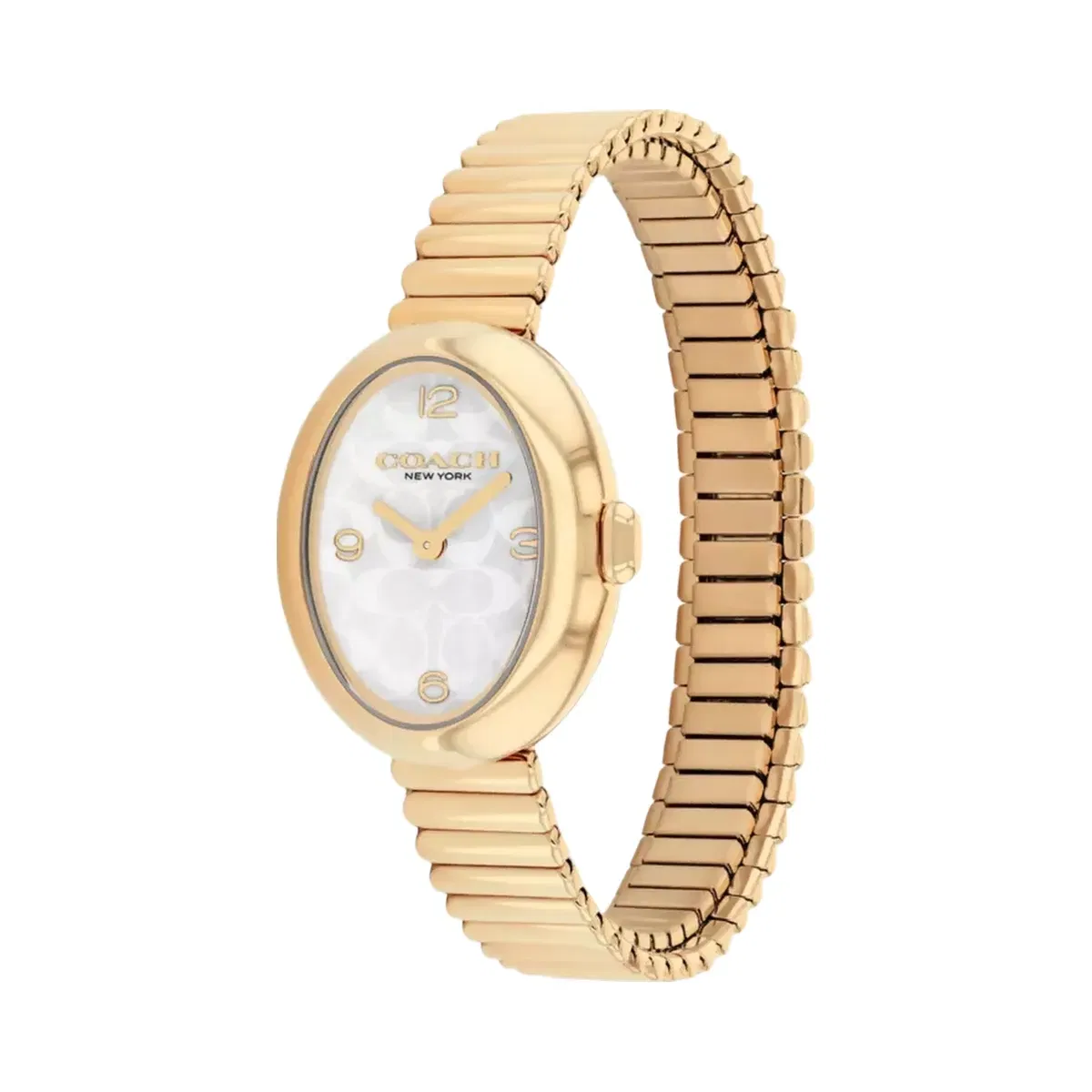 Coach Sammy Watch, 22 Mm in Gold