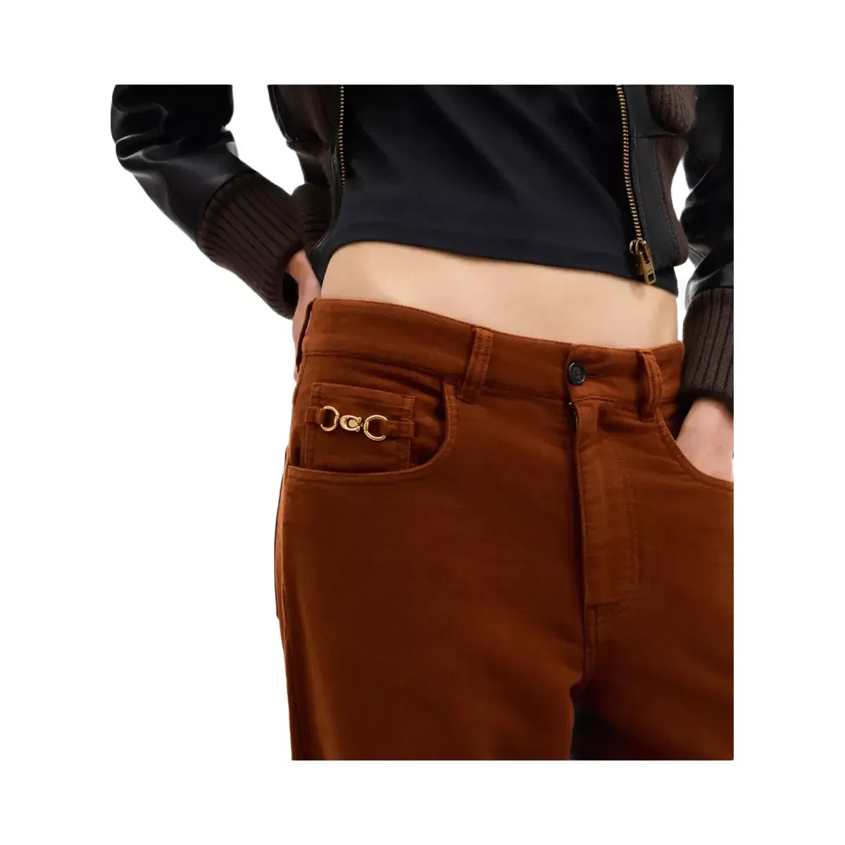 Coach Moleskin Pants in Medium Brown