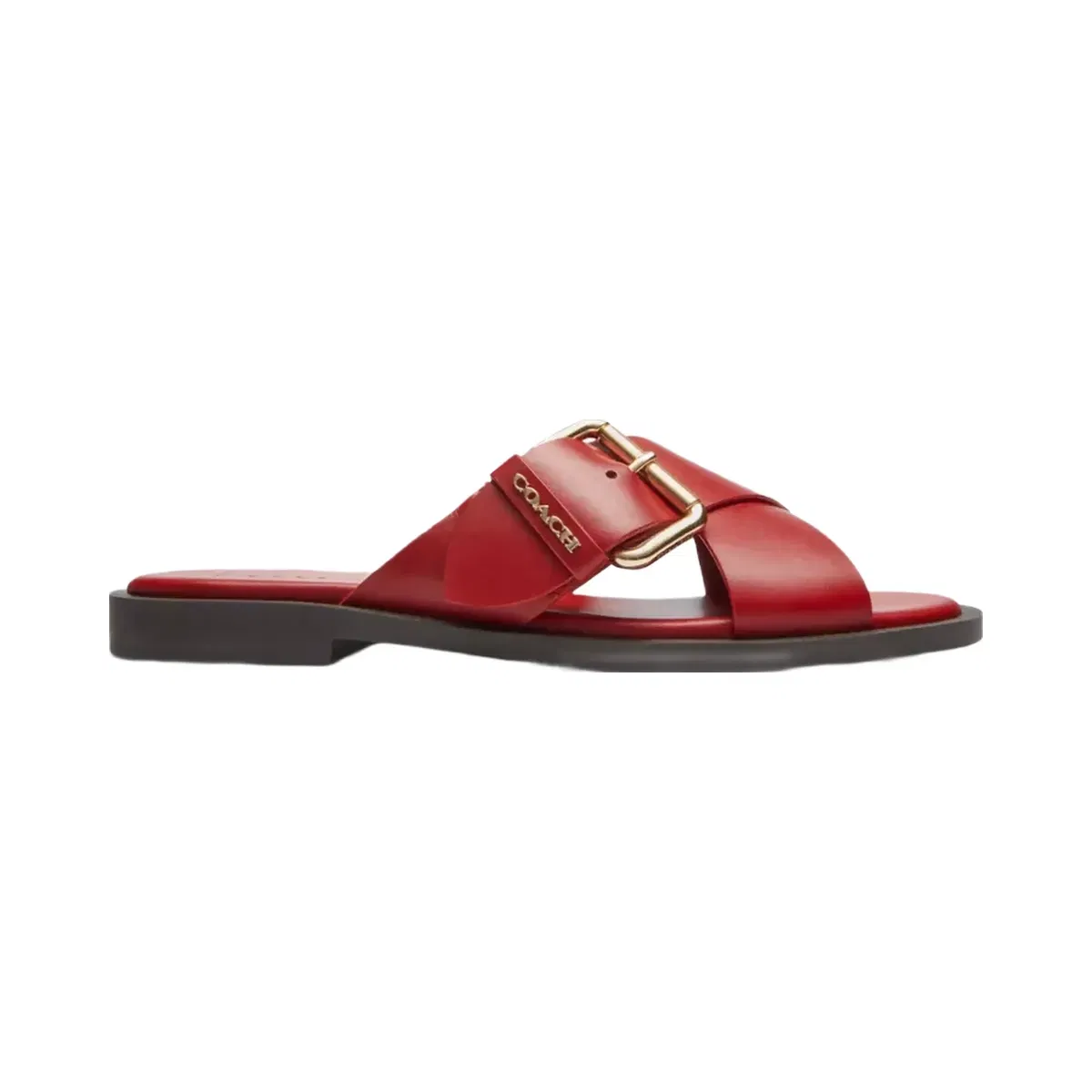 Coach Crisscross Buckle Sandal in Poppy