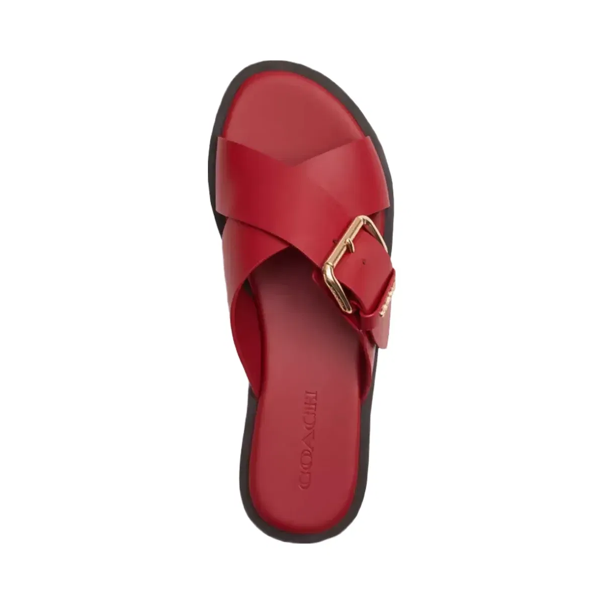 Coach Crisscross Buckle Sandal in Poppy