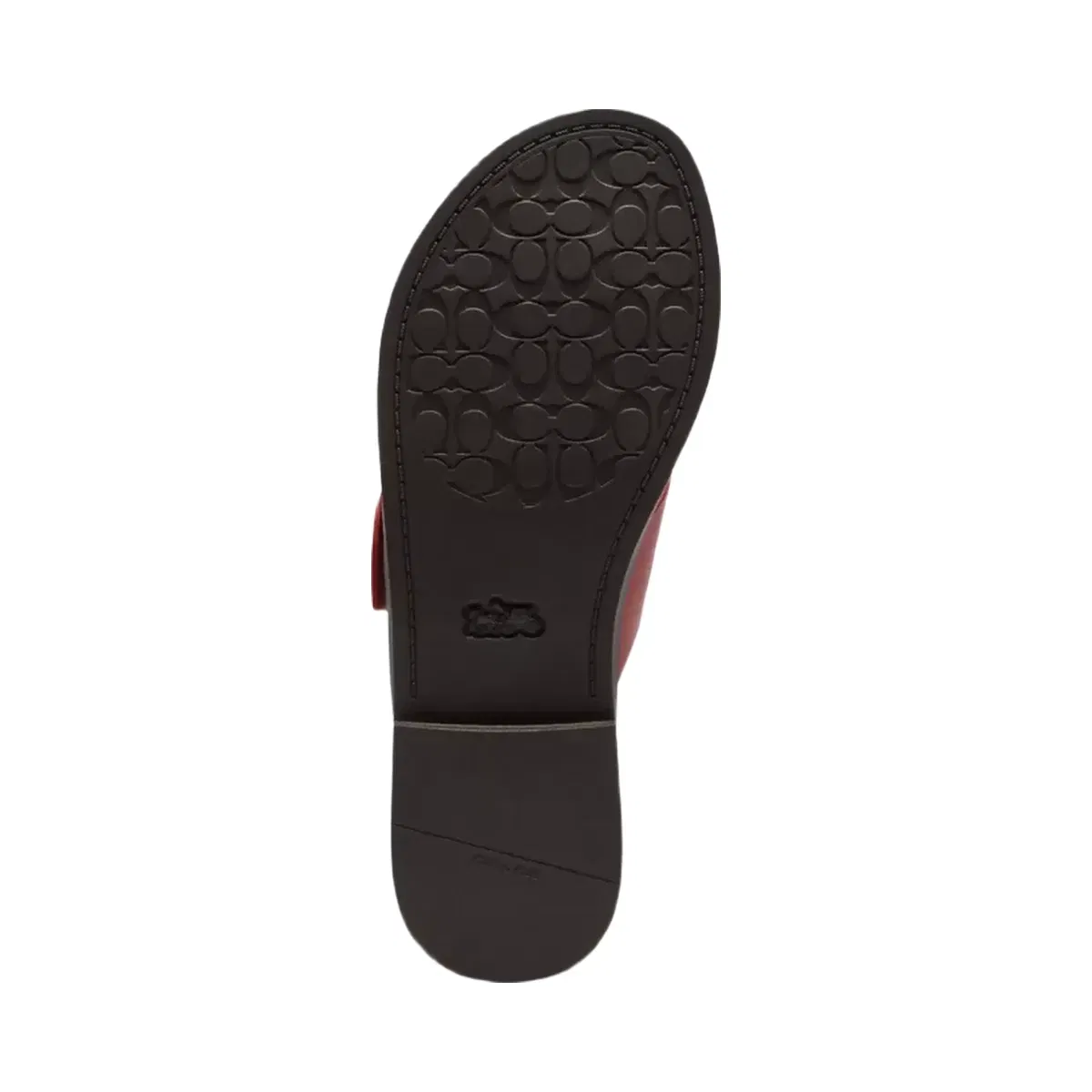 Coach Crisscross Buckle Sandal in Poppy
