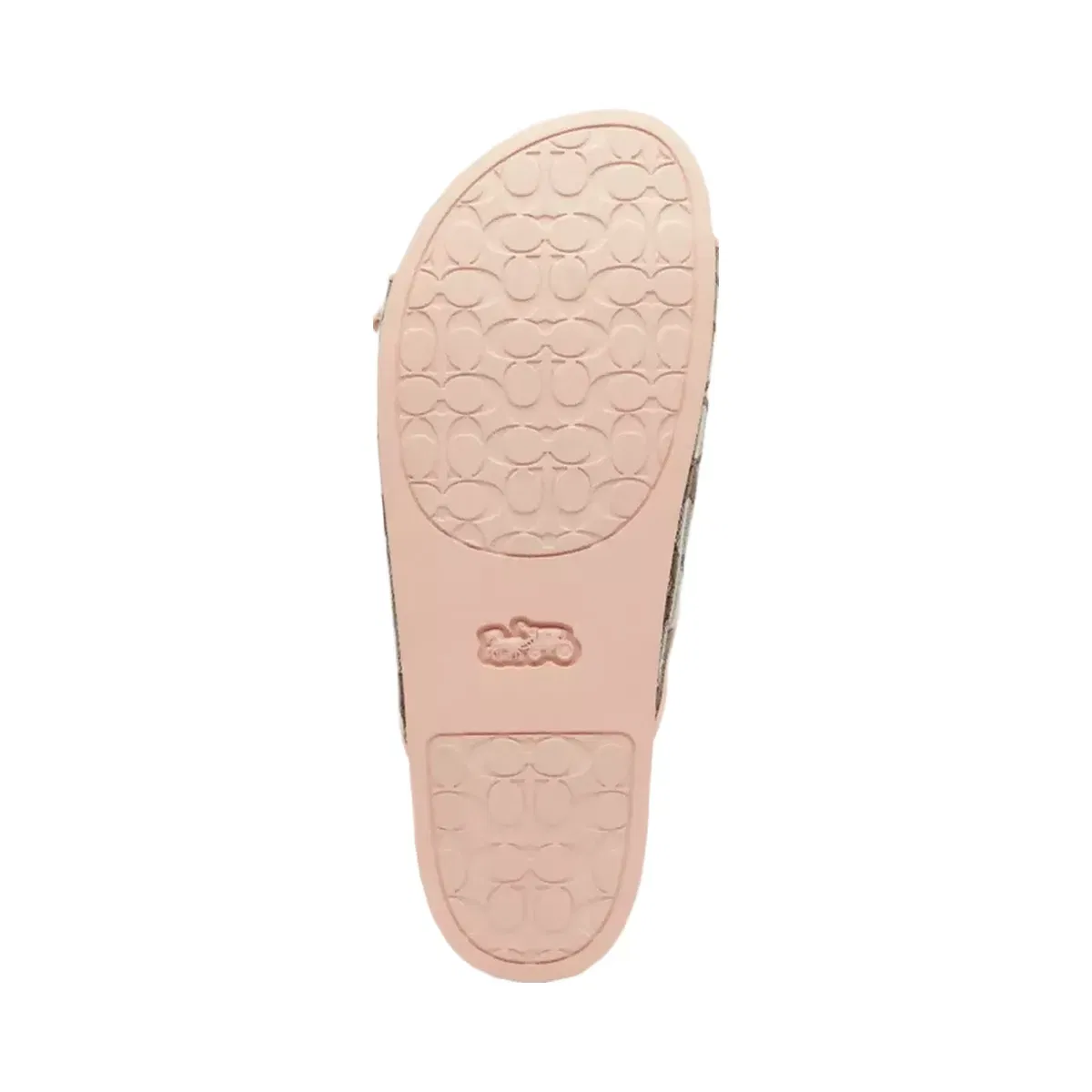 Coach Two Band Buckle Sandal In Signature Jacquard in Oak Candy Pink