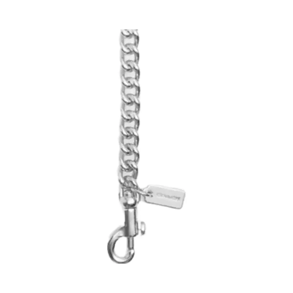 Coach Chain Shoulder Strap in Silver Silver