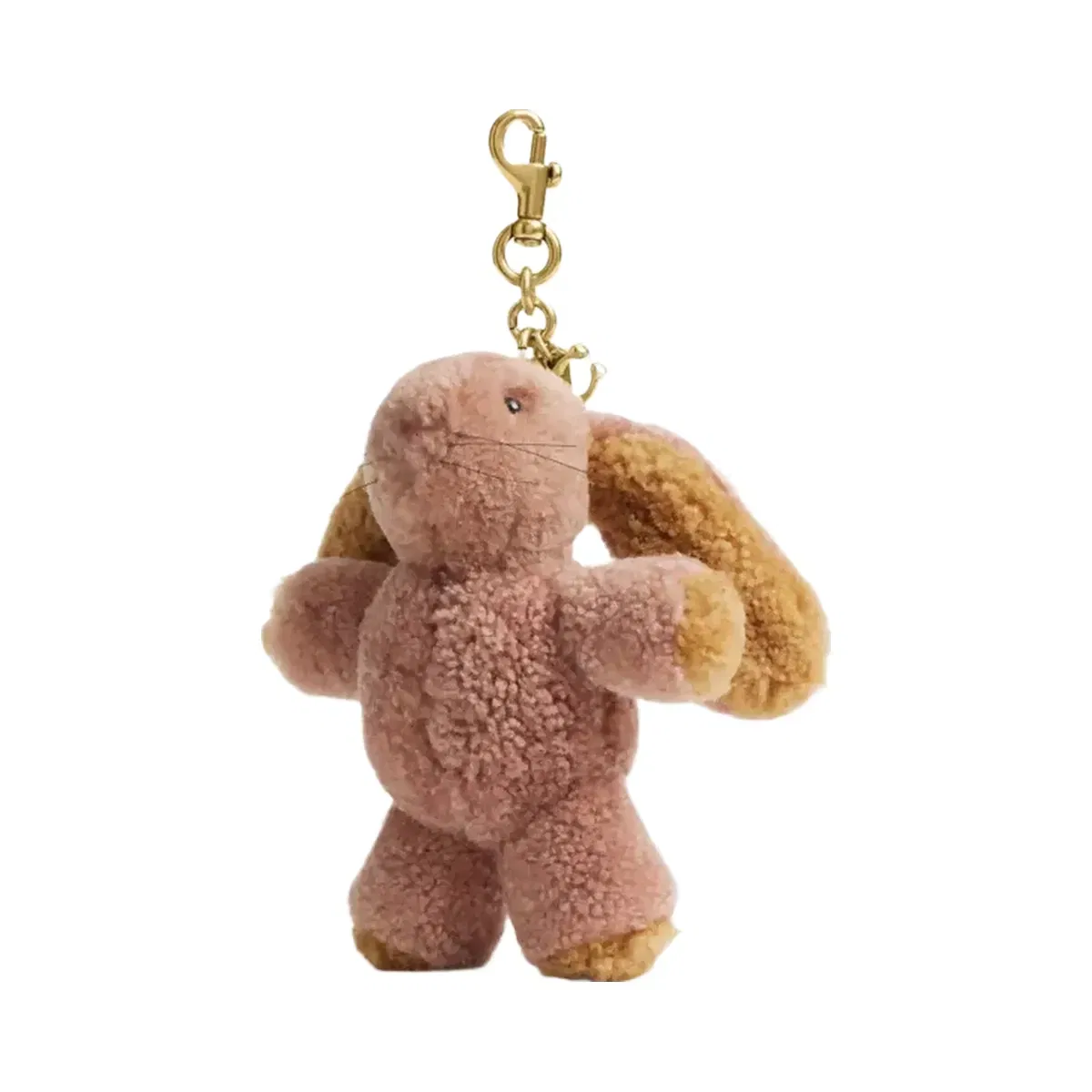 Coach Floppy Bag Charm In Shearling in Brass Multi