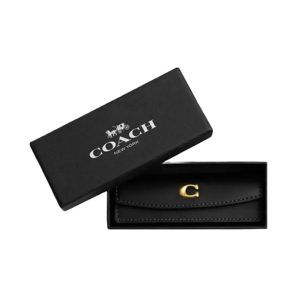 Coach Dice Set in Brass Black