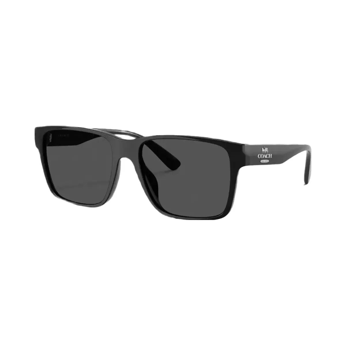 Coach Square Sunglasses in Black