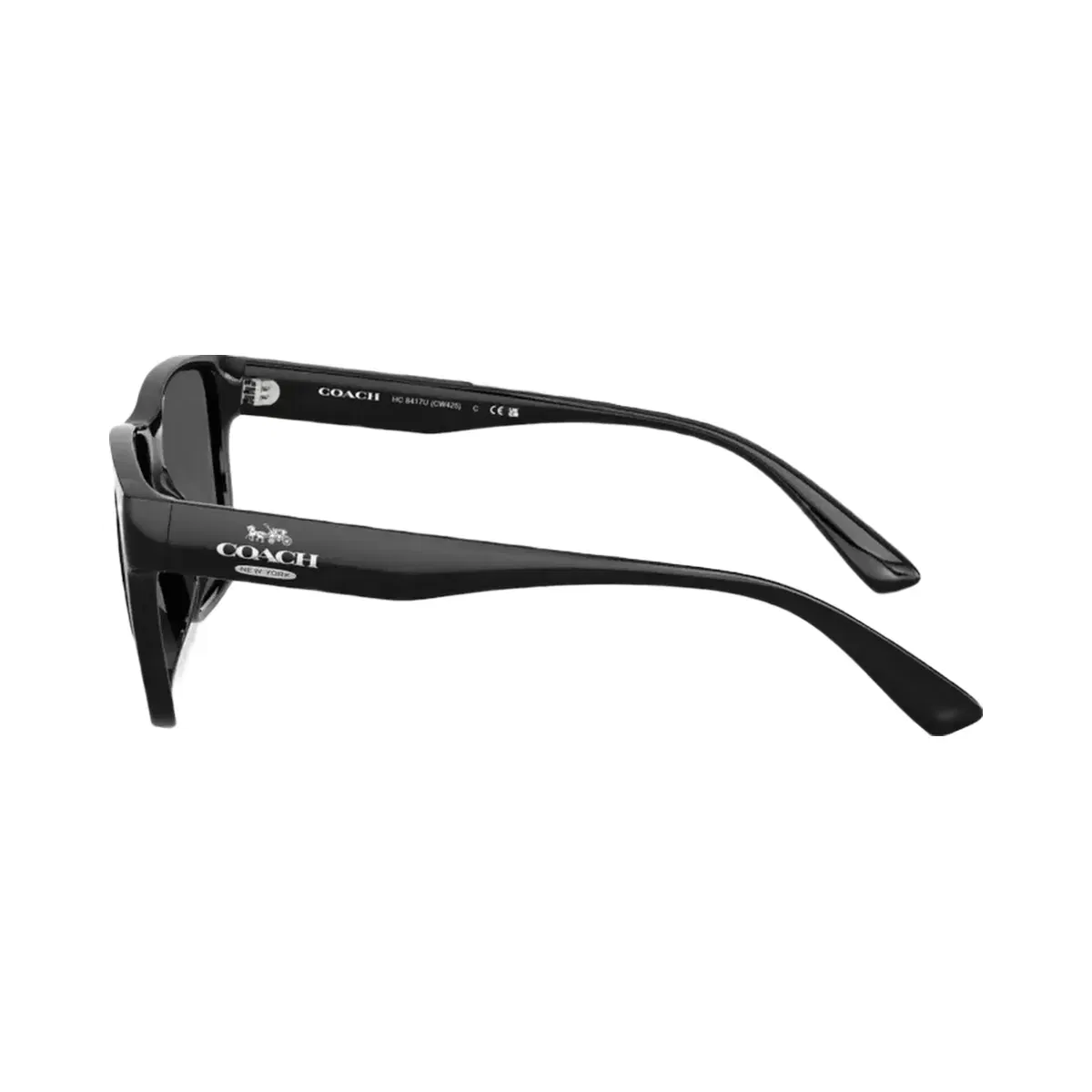 Coach Square Sunglasses in Black