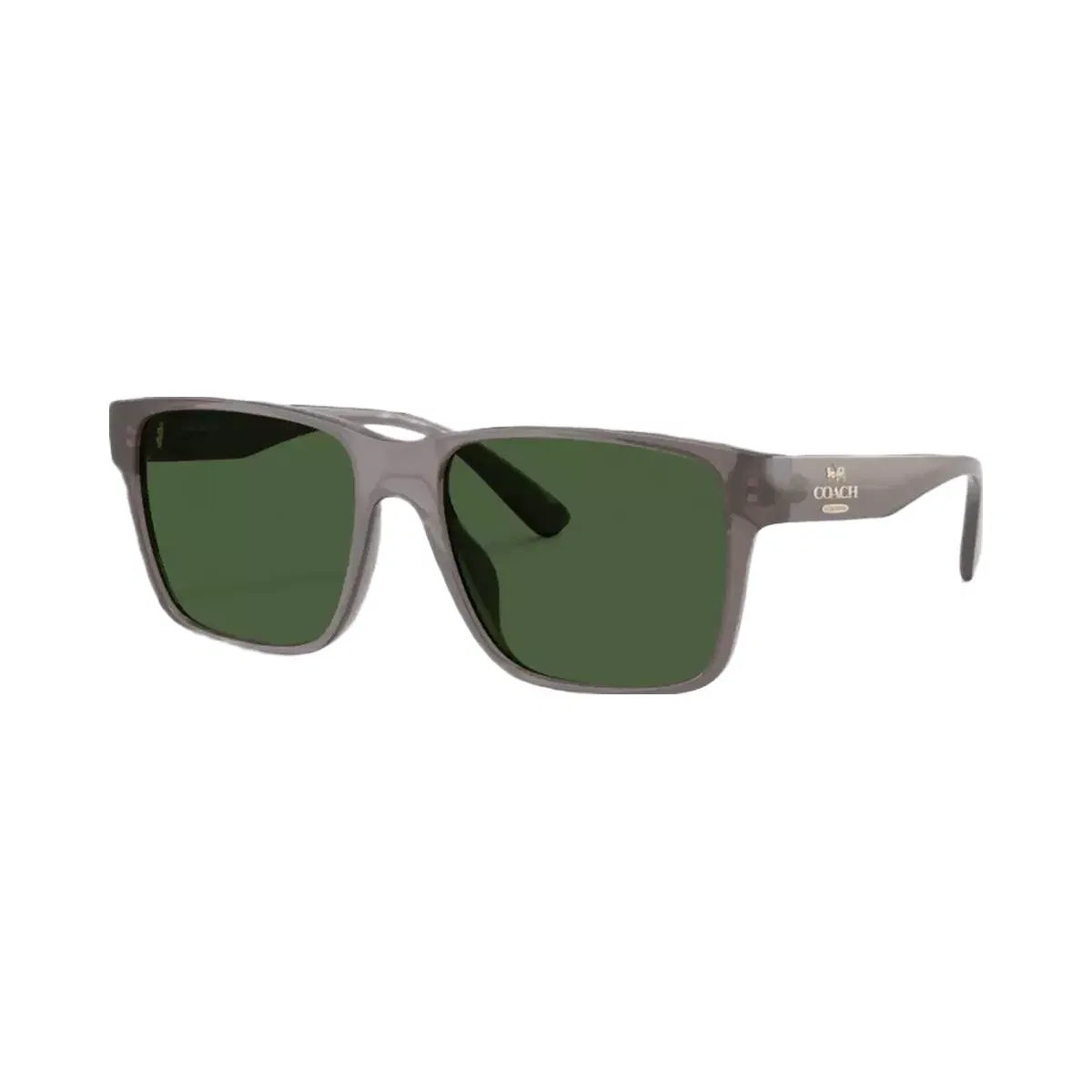 Coach Square Sunglasses in Transparent Gray