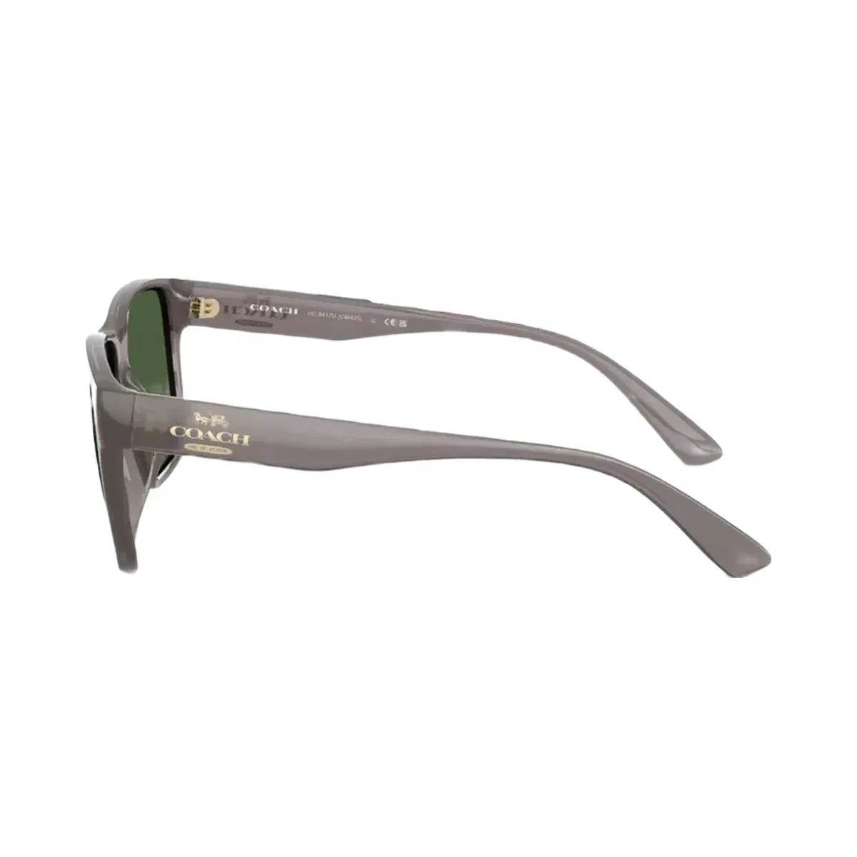 Coach Square Sunglasses in Transparent Gray