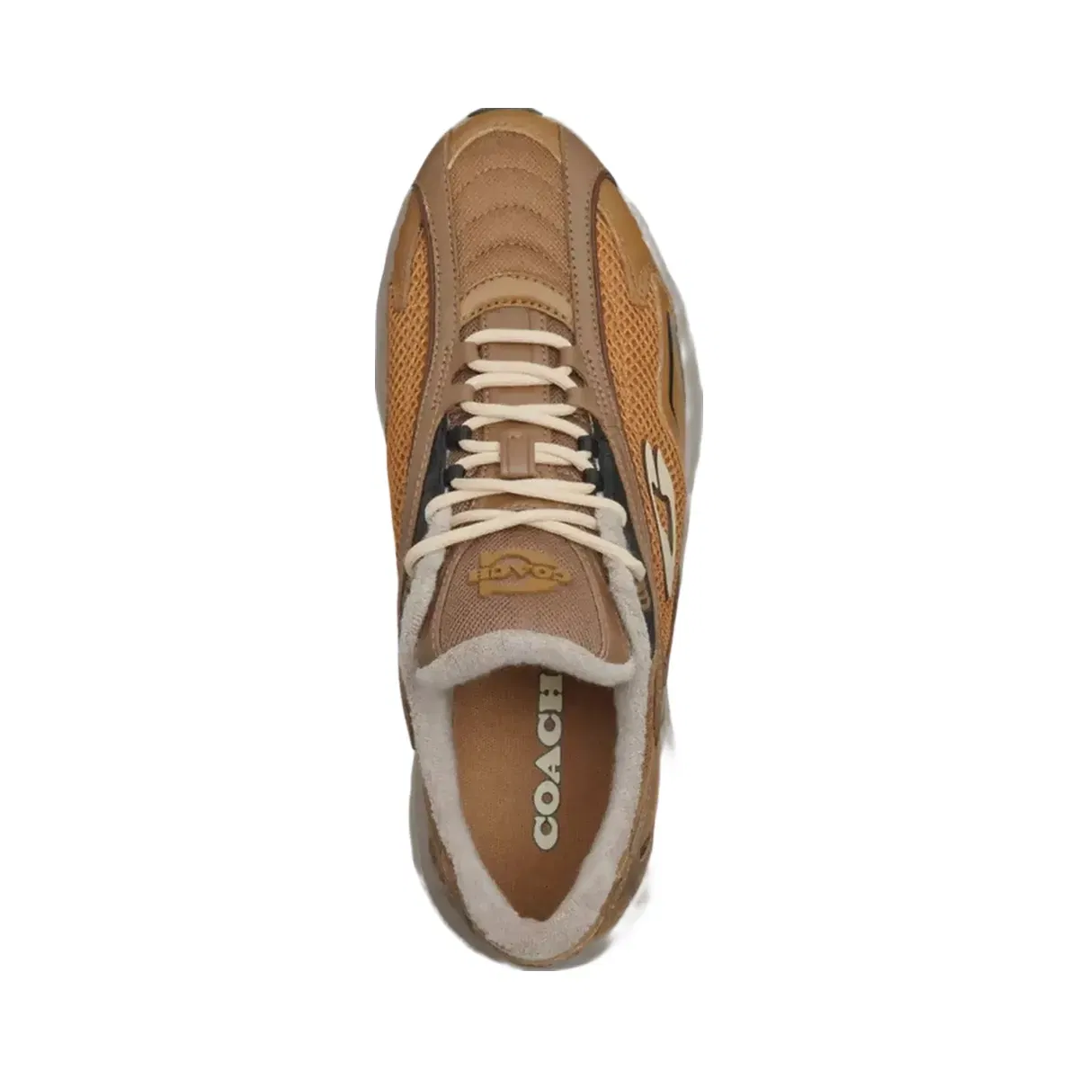 Coach Bolt Runner Sneaker in Dark Stone Multi