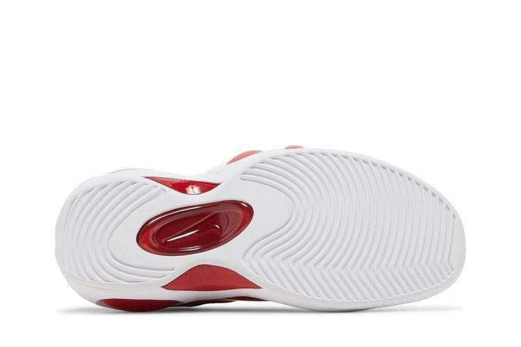 Men's Men's Air Zoom Flight 95 'True Red' 2023