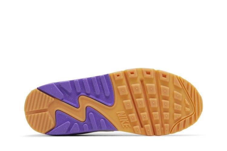 Air Max 90 Leather GS 'White Action Grape'