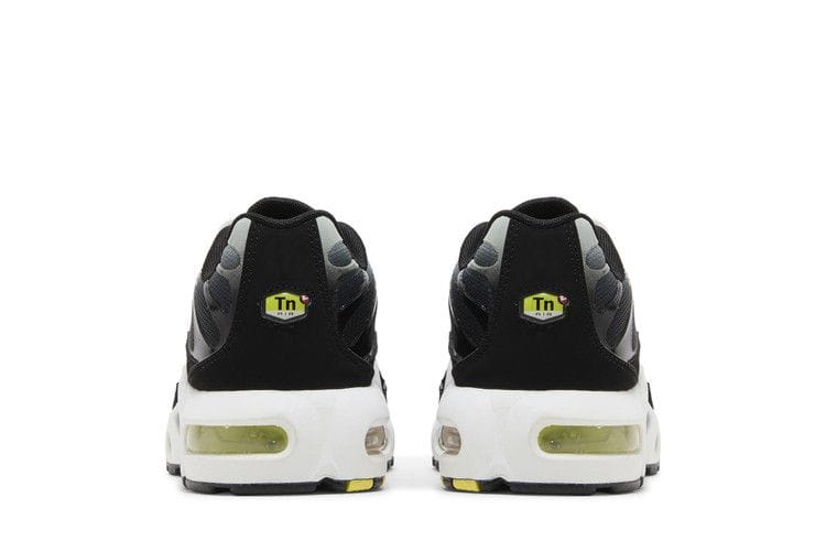 Air Max Plus GS 'Black Bright Cactus'