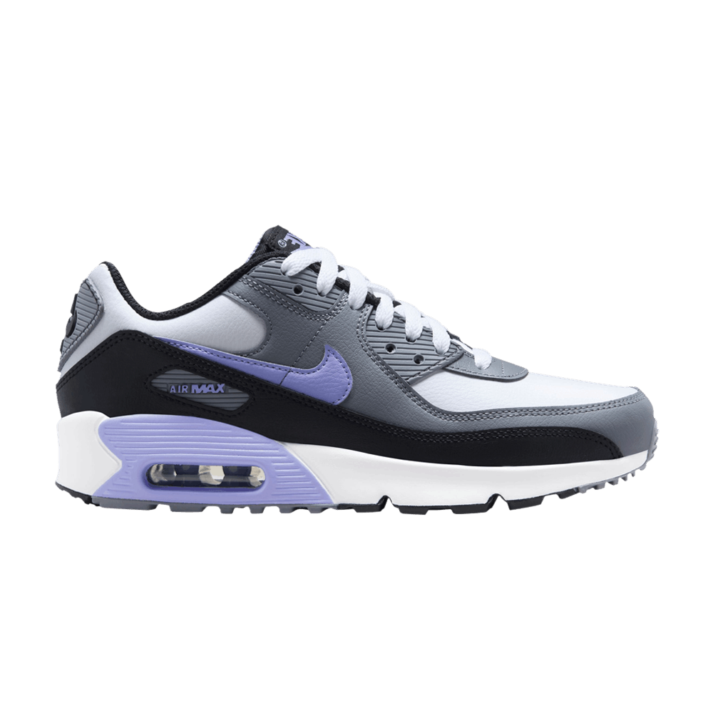 Air Max 90 Leather GS 'Light Thistle'