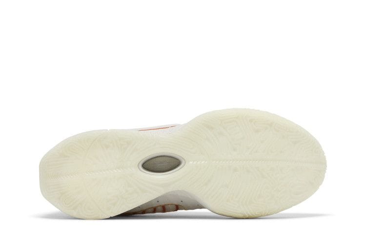 Men's LeBron 21 'Akoya'