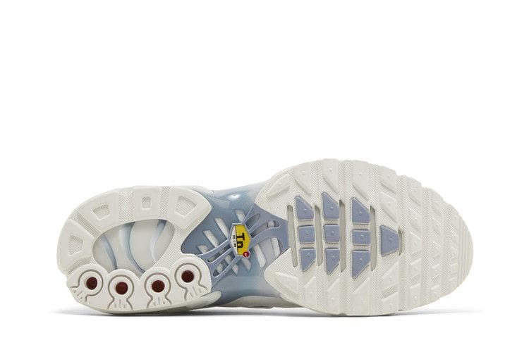 Women's Air Max Plus 'Ashen Slate'