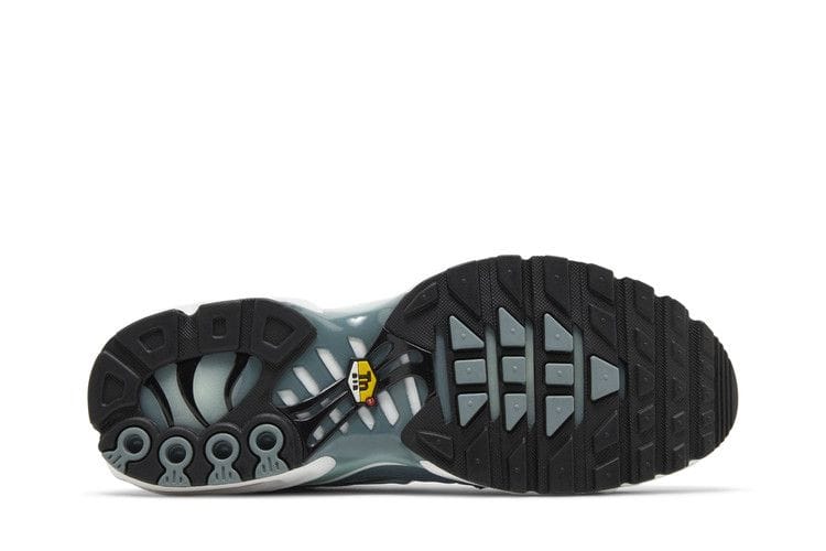 Men's Air Max Plus 'Palm Pack - Waterway'