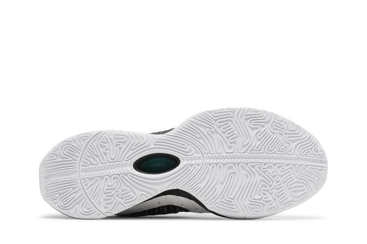 Men's LeBron 21 'Conchiolin'