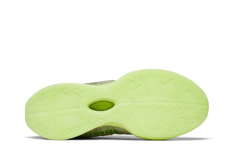 Men's LeBron 21 'Algae'