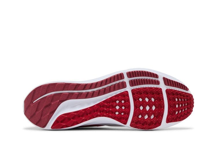 Men's Air Zoom Pegasus 39 'Platinum Tint Light Crimson'