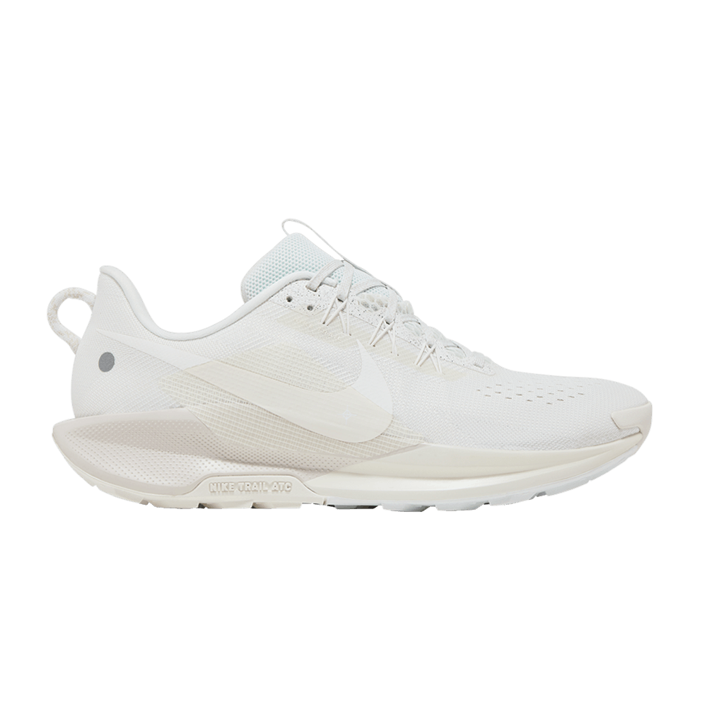 Men's Pegasus Trail 5 'Summit White Sail'