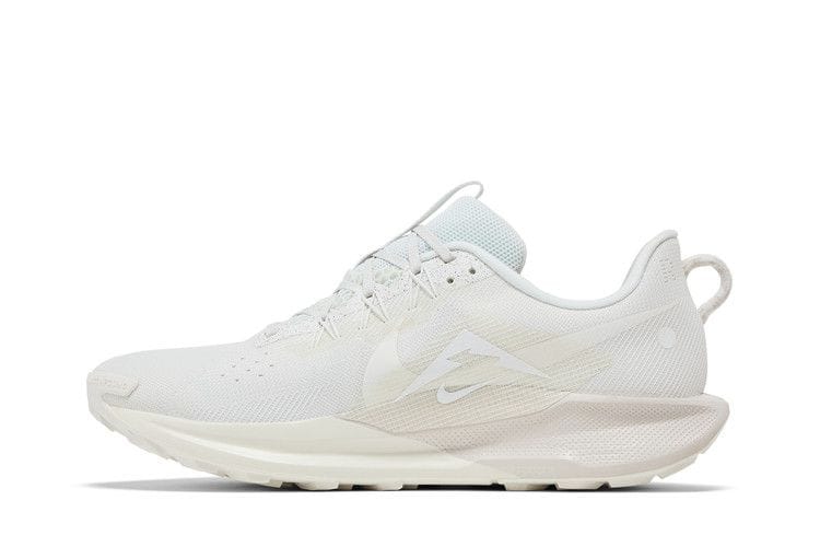 Men's Pegasus Trail 5 'Summit White Sail'