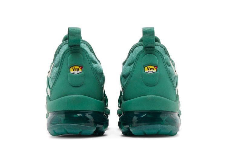 Women's Air Vapormax Plus 'Bicoastal'