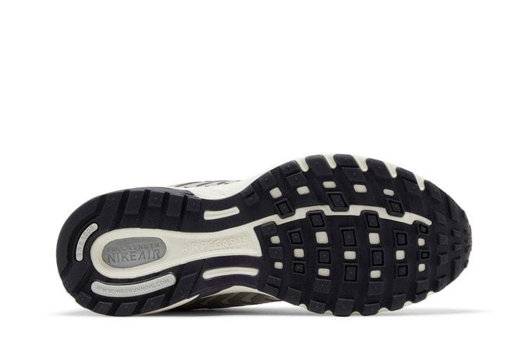 Women's Air Pegasus 2K5 'Chrome'