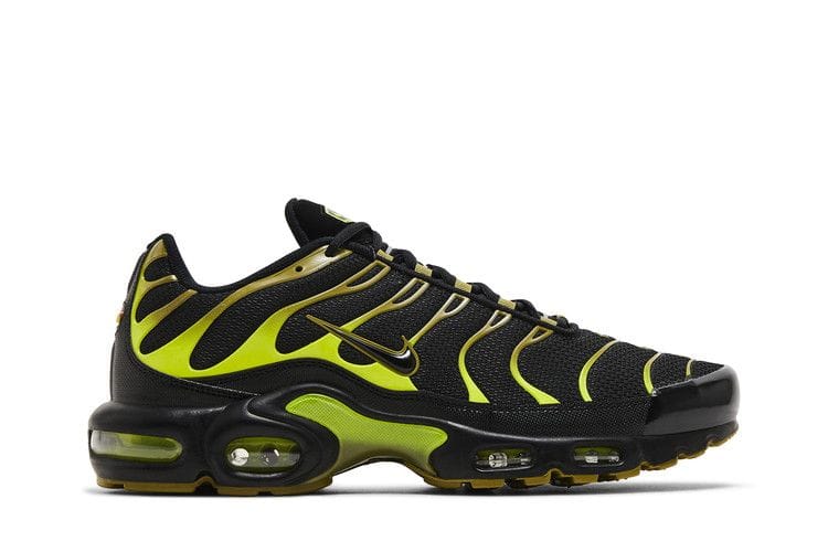 Men's Air Max Plus 'Pacific Moss'