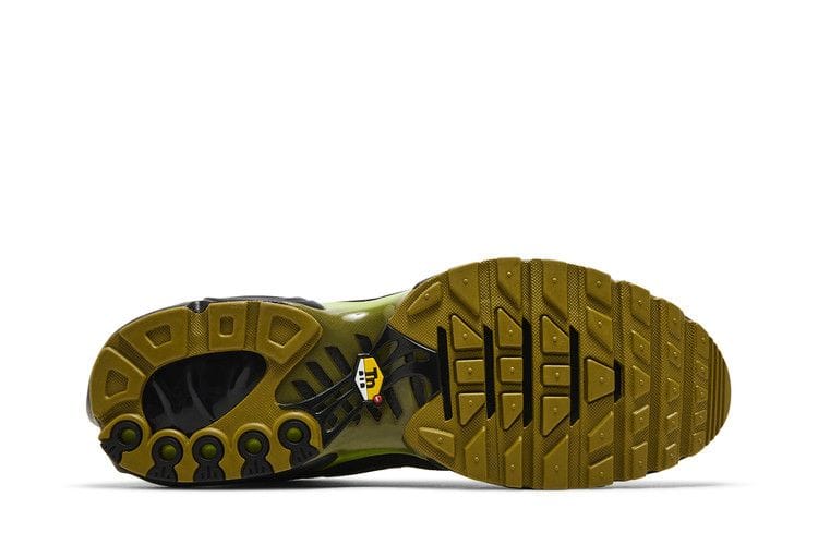 Men's Air Max Plus 'Pacific Moss'