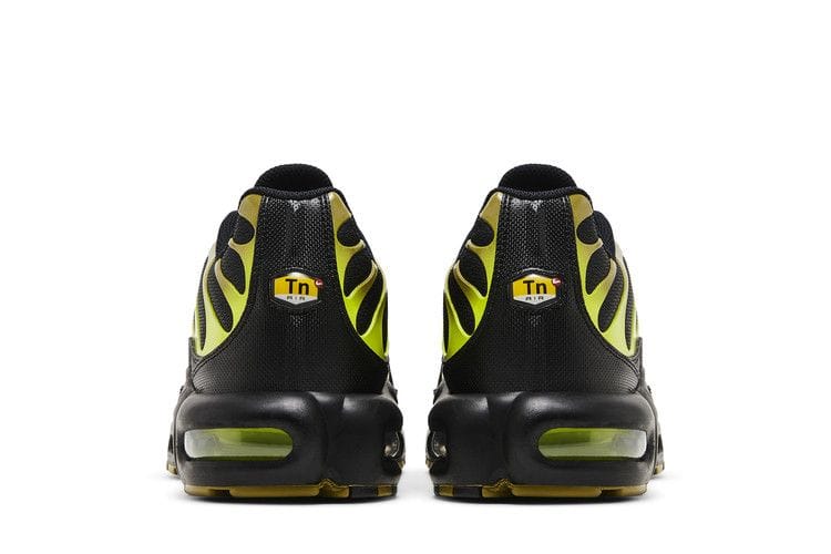 Men's Air Max Plus 'Pacific Moss'