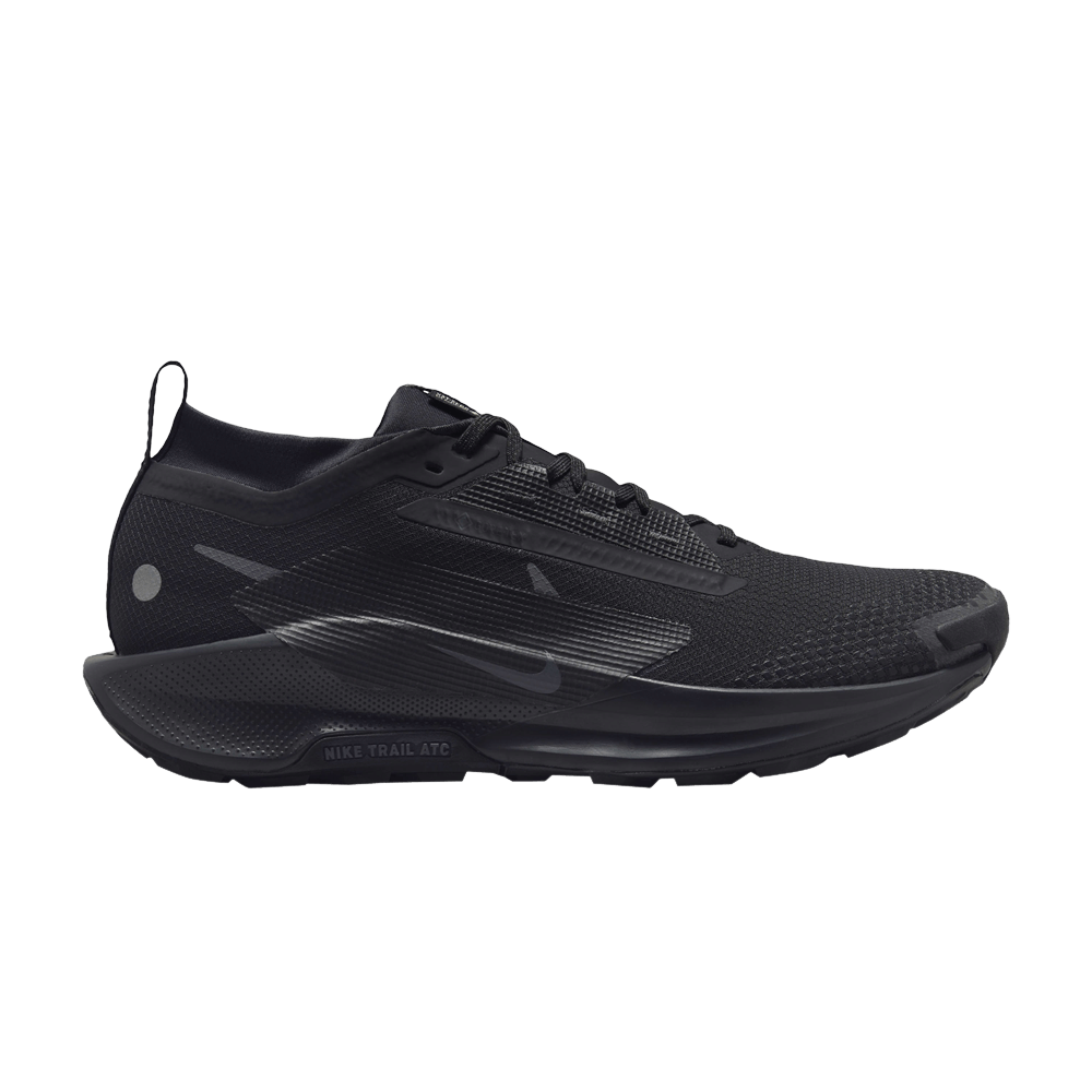 Men's Pegasus Trail 5 GORE-TEX 'Black Anthracite'