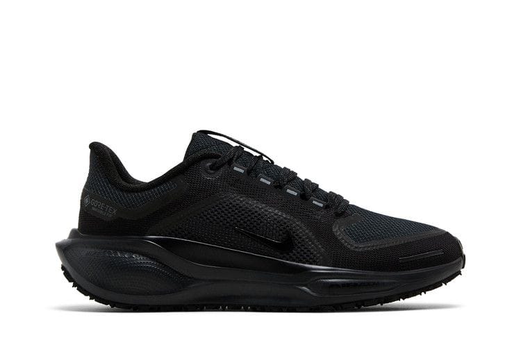 Women's Air Zoom Pegasus 41 GORE-TEX 'Black Anthracite'