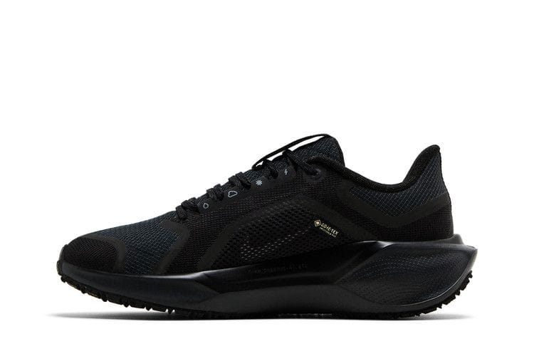 Women's Air Zoom Pegasus 41 GORE-TEX 'Black Anthracite'