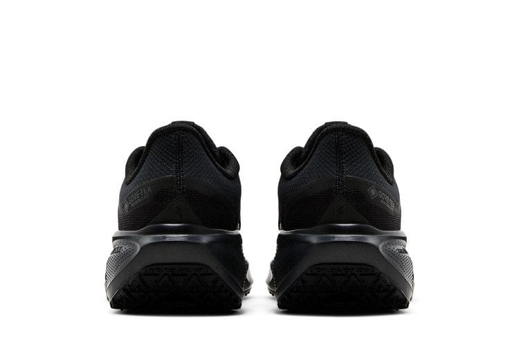 Women's Air Zoom Pegasus 41 GORE-TEX 'Black Anthracite'