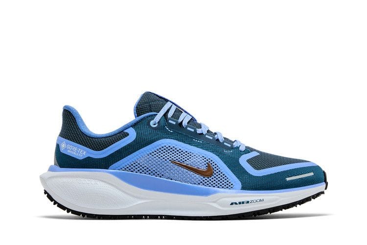 Women's Air Zoom Pegasus 41 GORE-TEX 'Cobalt Bliss'